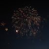 IMG 8447 IMG 8447