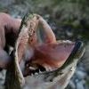 IMG 8899 IMG 8899