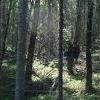 IMG 8987 IMG 8987