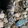 IMG 9031 IMG 9031