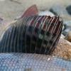 IMG 9033 IMG 9033