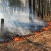 берегите природу мать нашу берегите природу мать нашу