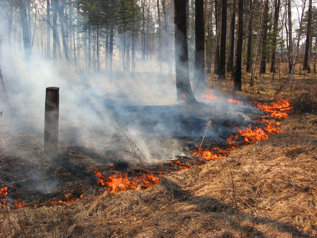 берегите природу мать нашу