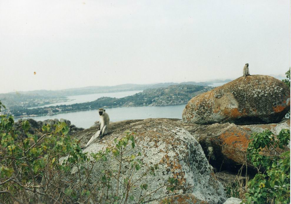 В.Потапов_01