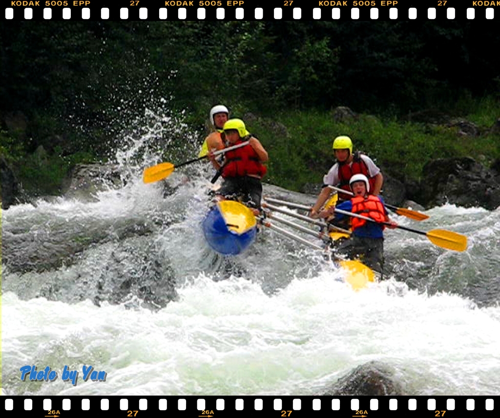 Сплавы 2010 (4)