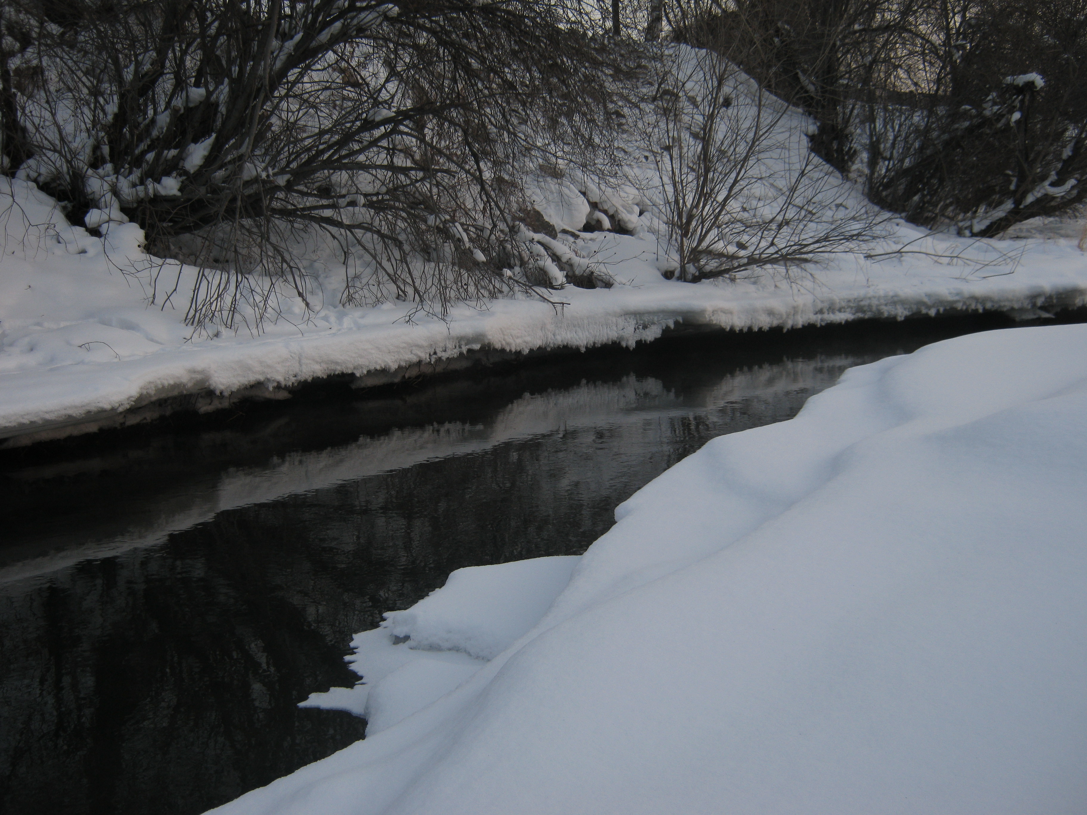 зимняя тишина