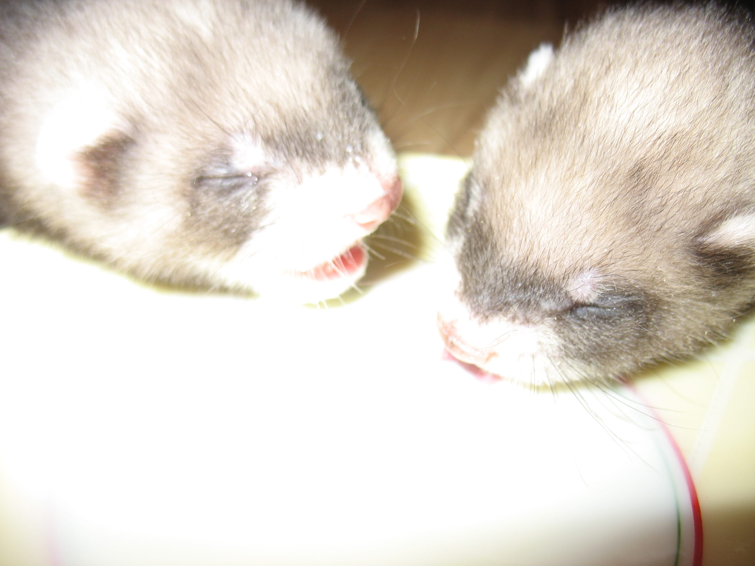 Учимся сами пить