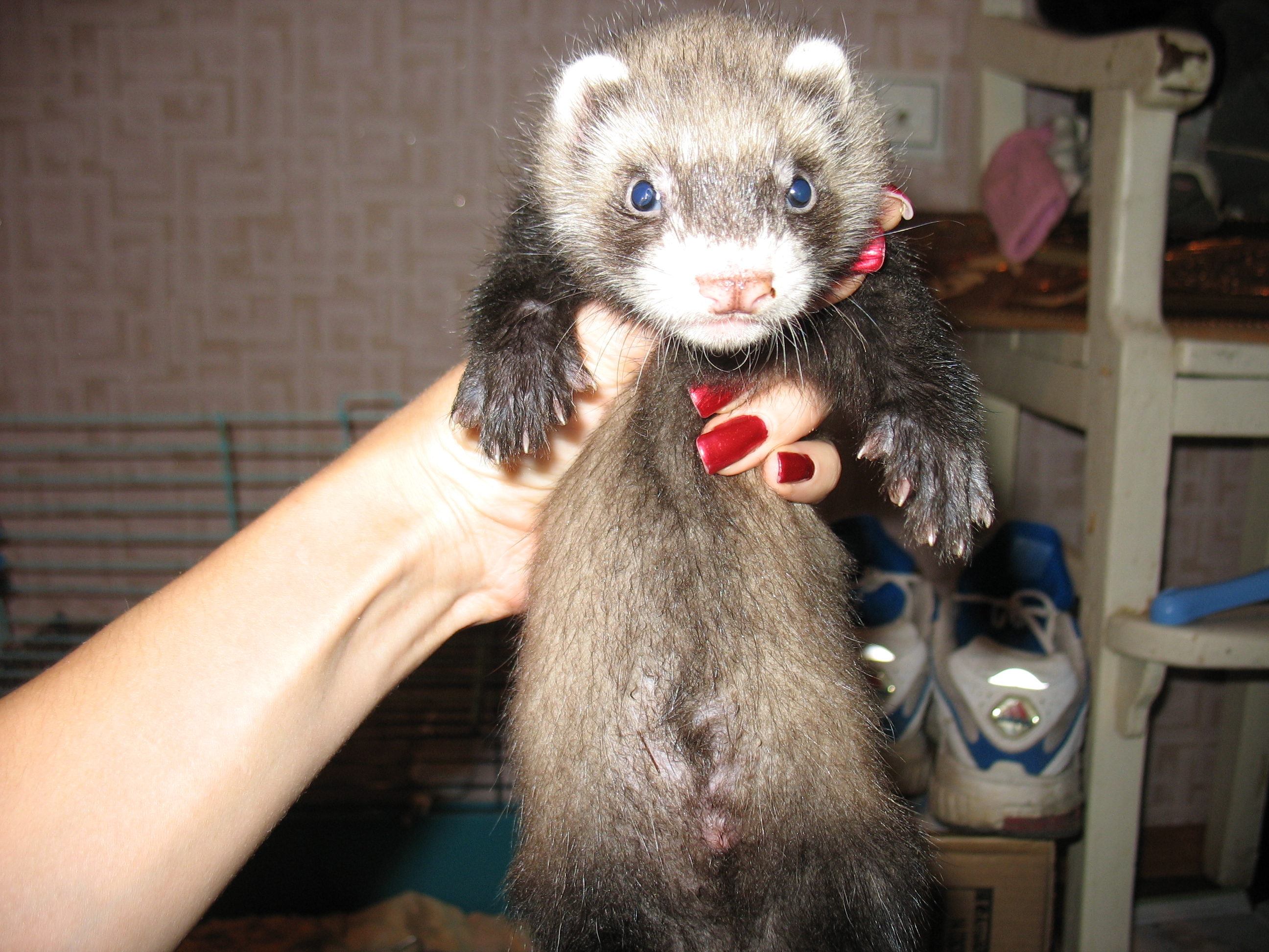 вот такие мы красивые