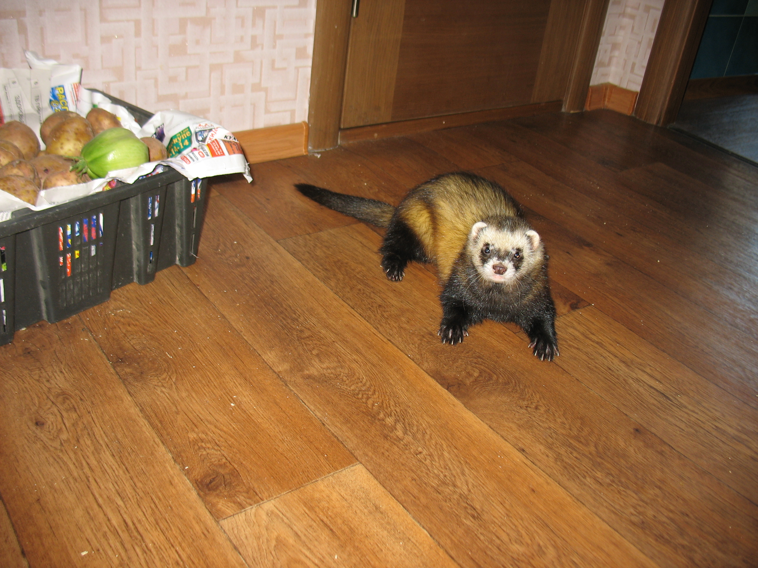 Крис подобрел