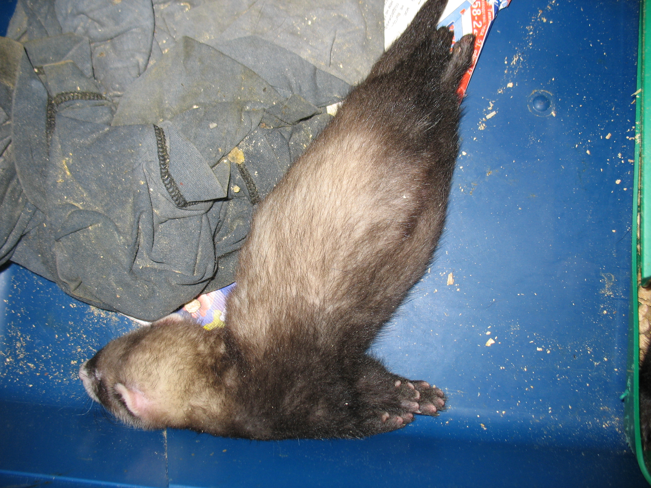 Так мы спим