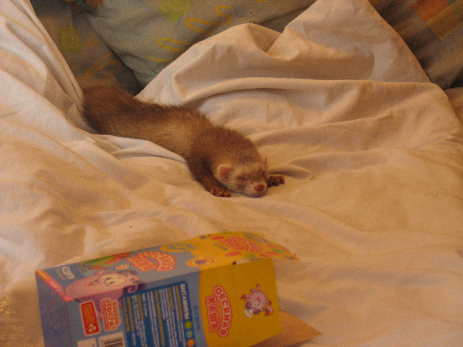 первые дни у нас