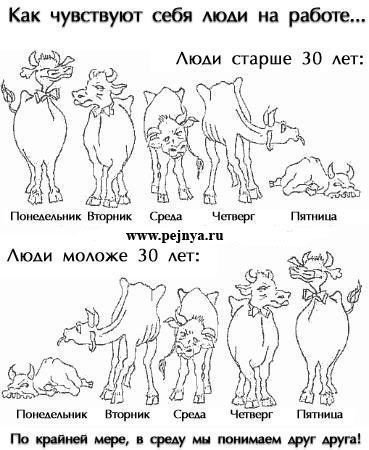 Как чувствуют себя люди на работе...