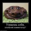 Kommentator Kommentator