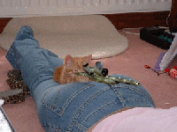 котэ