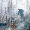 Лесные пожары-5