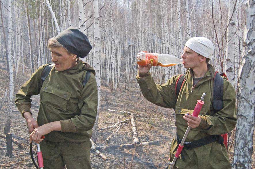 Лесные пожары