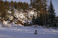 куда дальше, хозяйка?