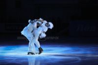 Лёд и пламень - 10: Алексей Полищук и  Владимир Беседин