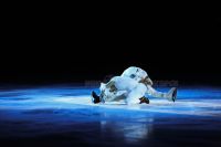 Лёд и пламень - 11: Алексей Полищук и  Владимир Беседин