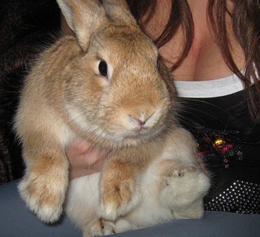 МАРСИ с  Марсиком