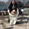 108 лет матрёшке (05.04.2008)12