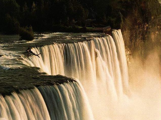 Эх, лето, красота!