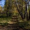 Осень