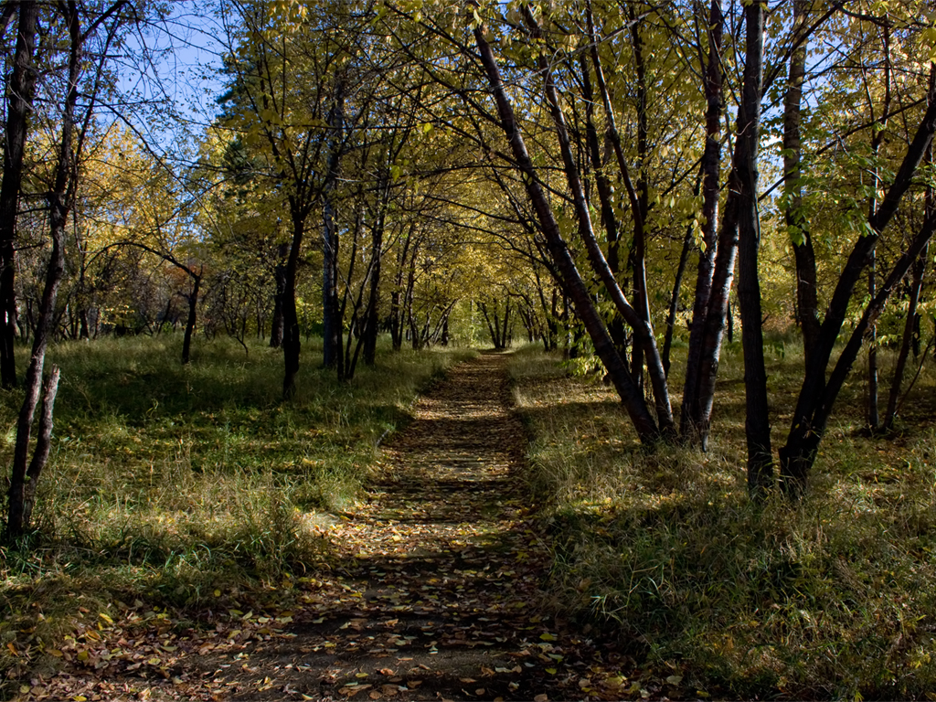 Осень