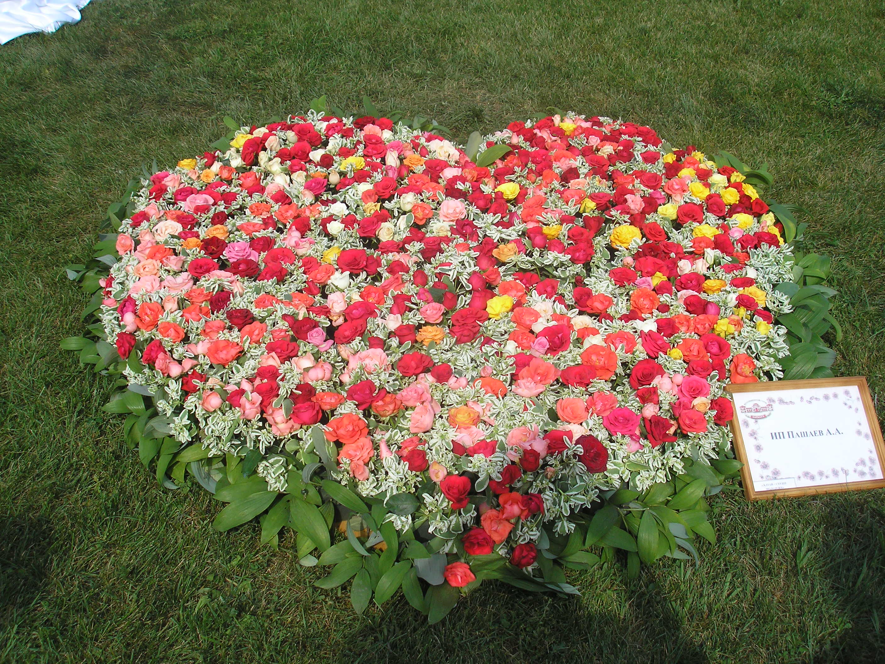 день города в Барнауле