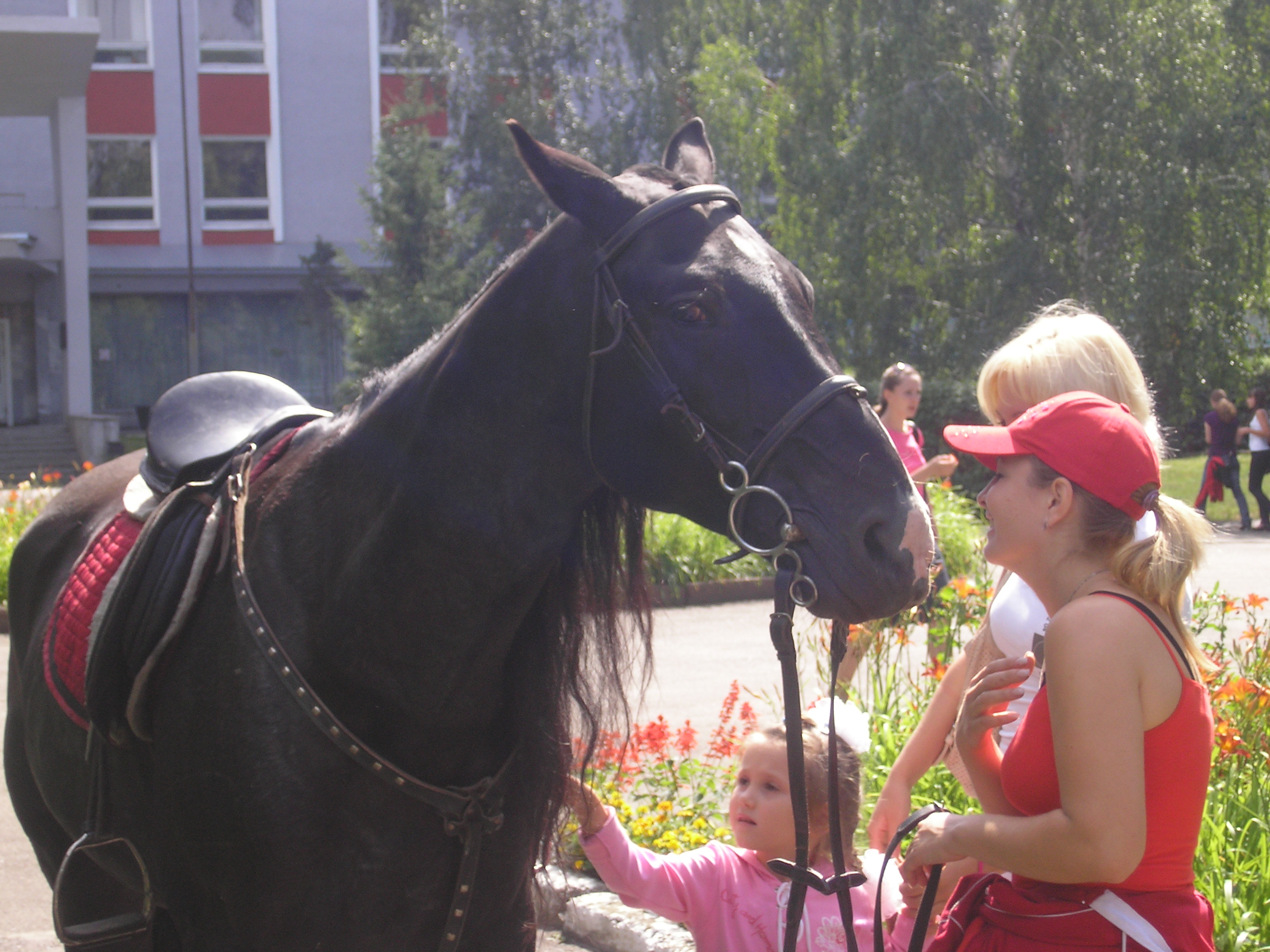 день города в Барнауле
