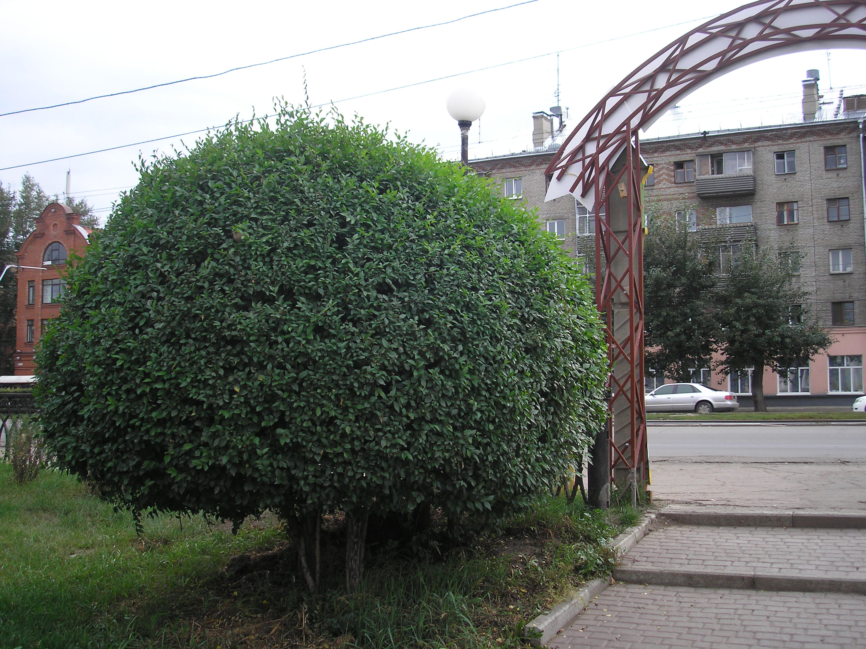 Барнаул