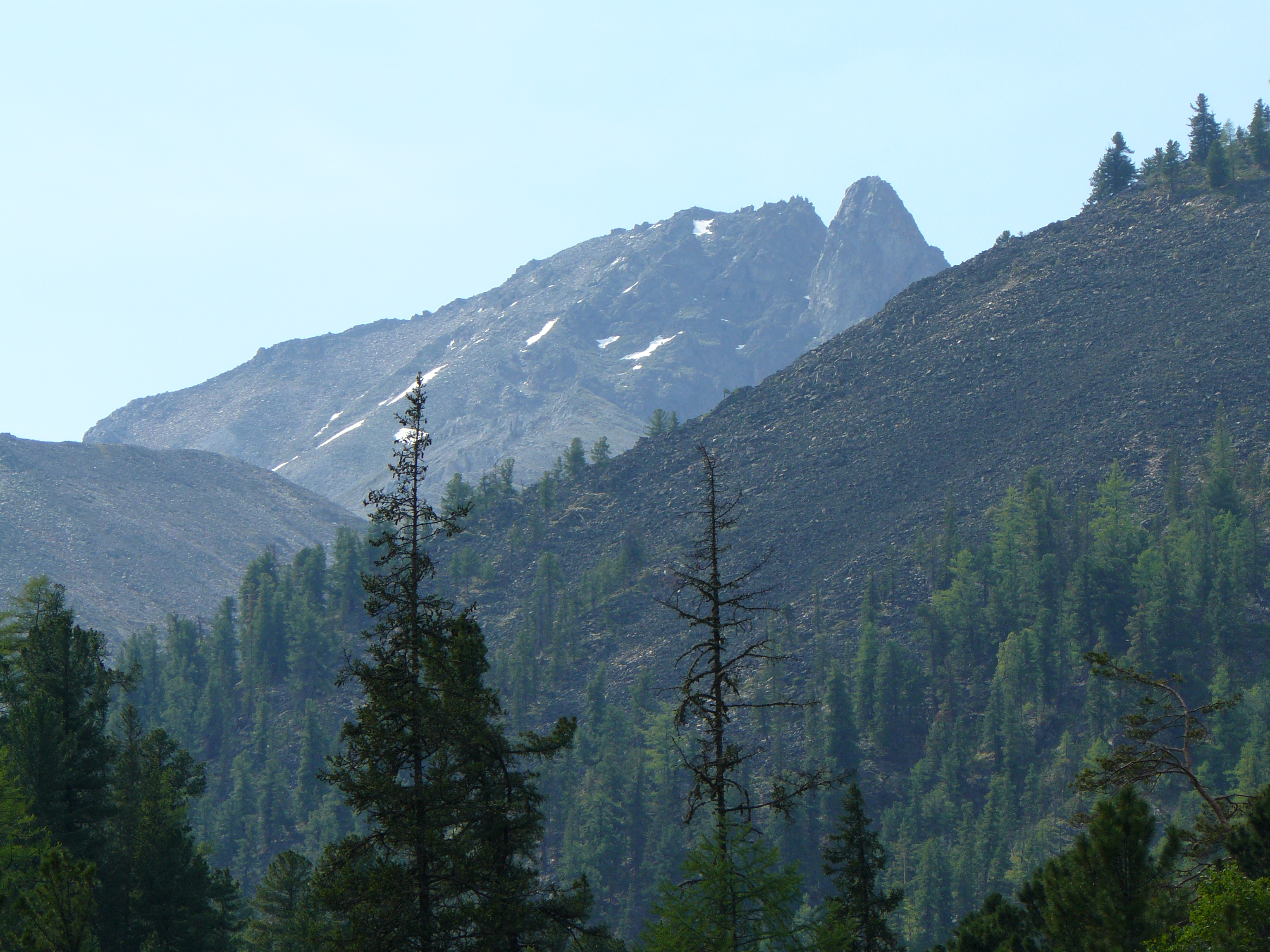 Стремление к небу 1