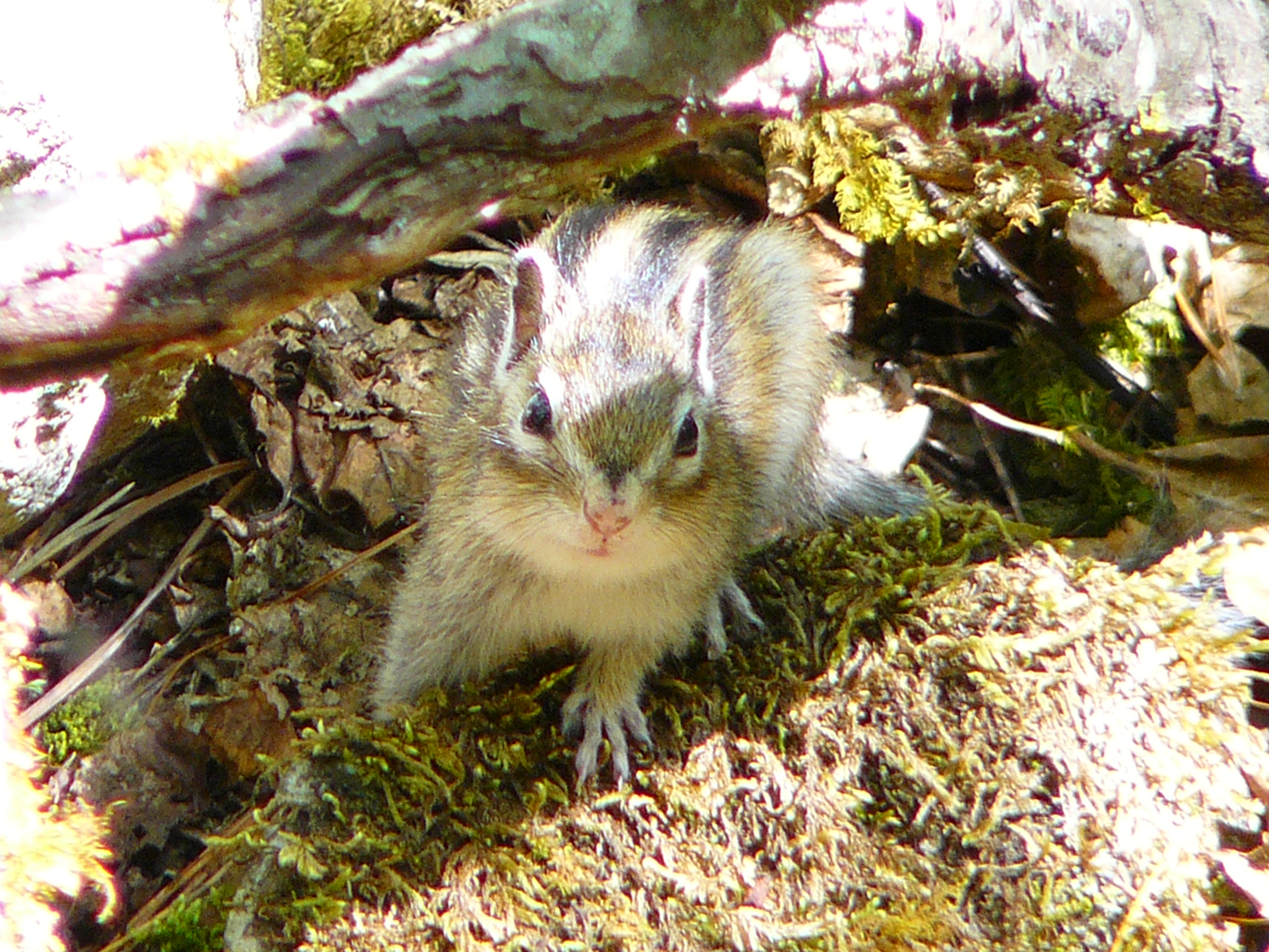  мой дружбан