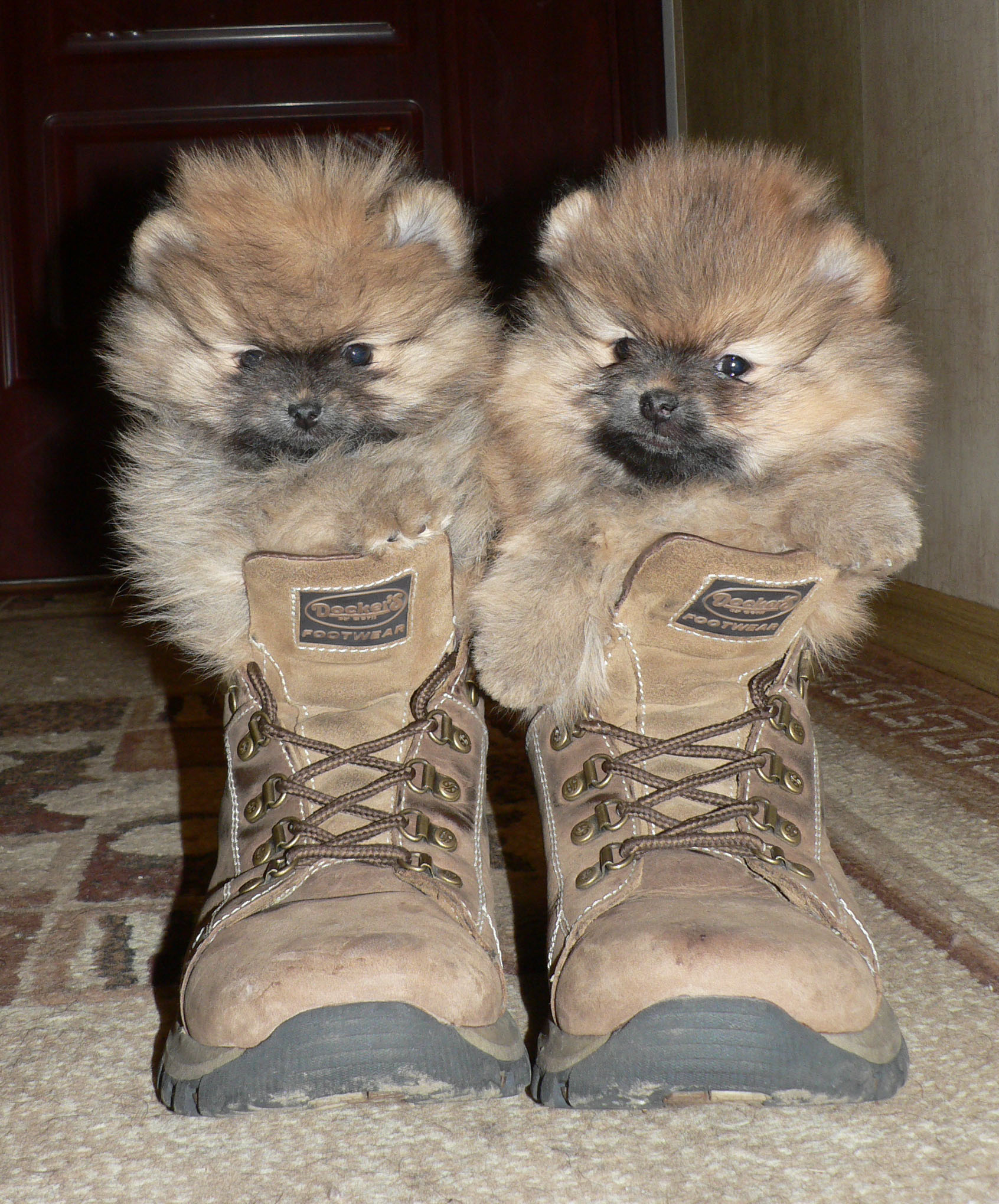 мы с братом уходим на север