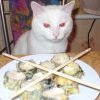 котёйка котёйка