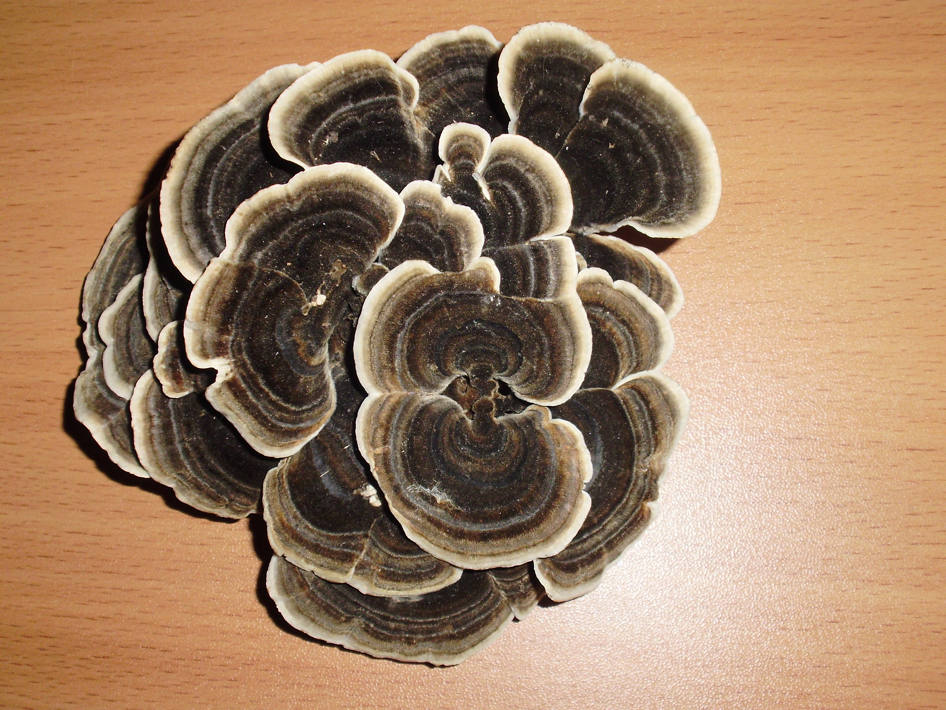 Давольно удивительные вещи создаёт природа