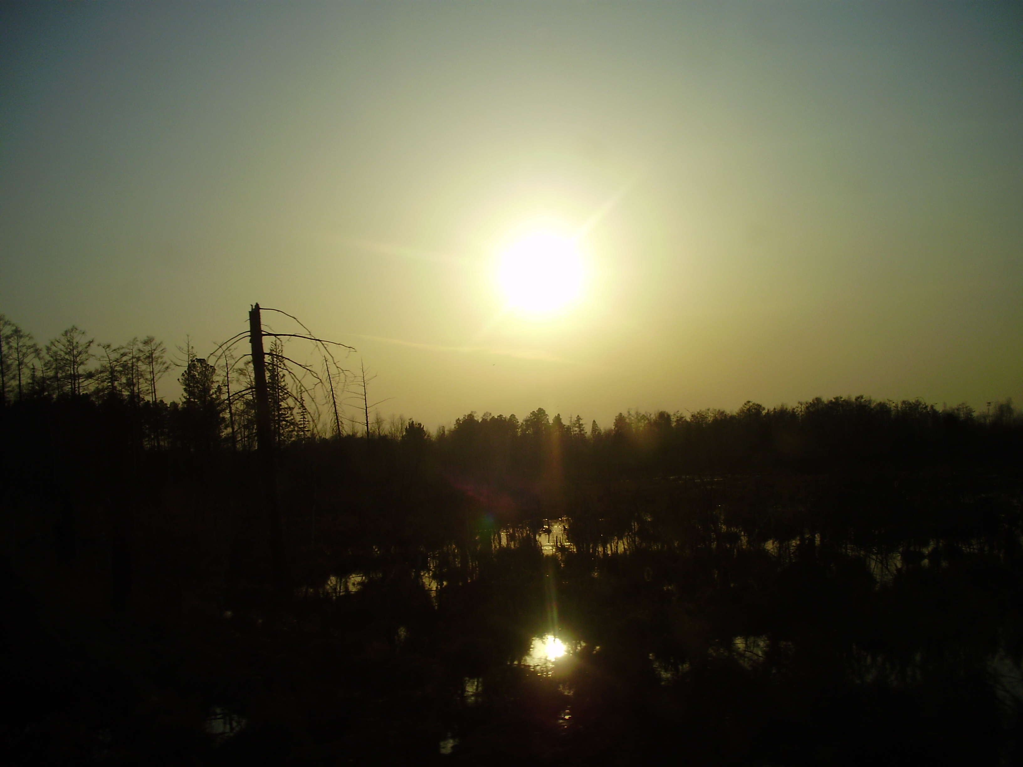 Закат солнца над болотами...и тишина....