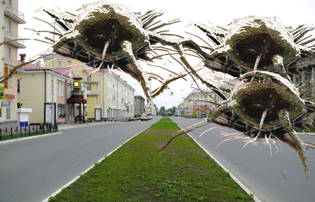 Раковая опухоль провинции