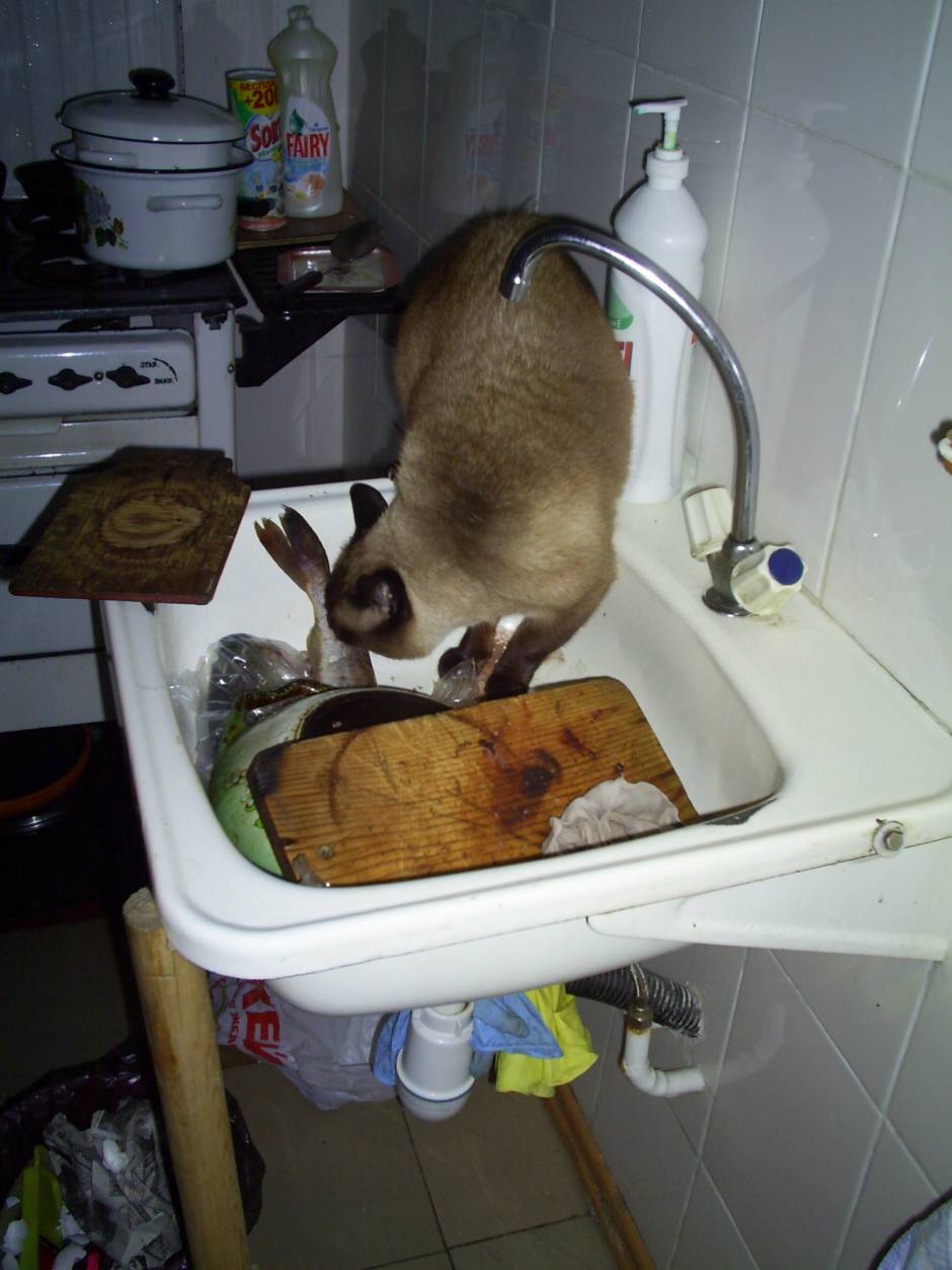 на месте преступления