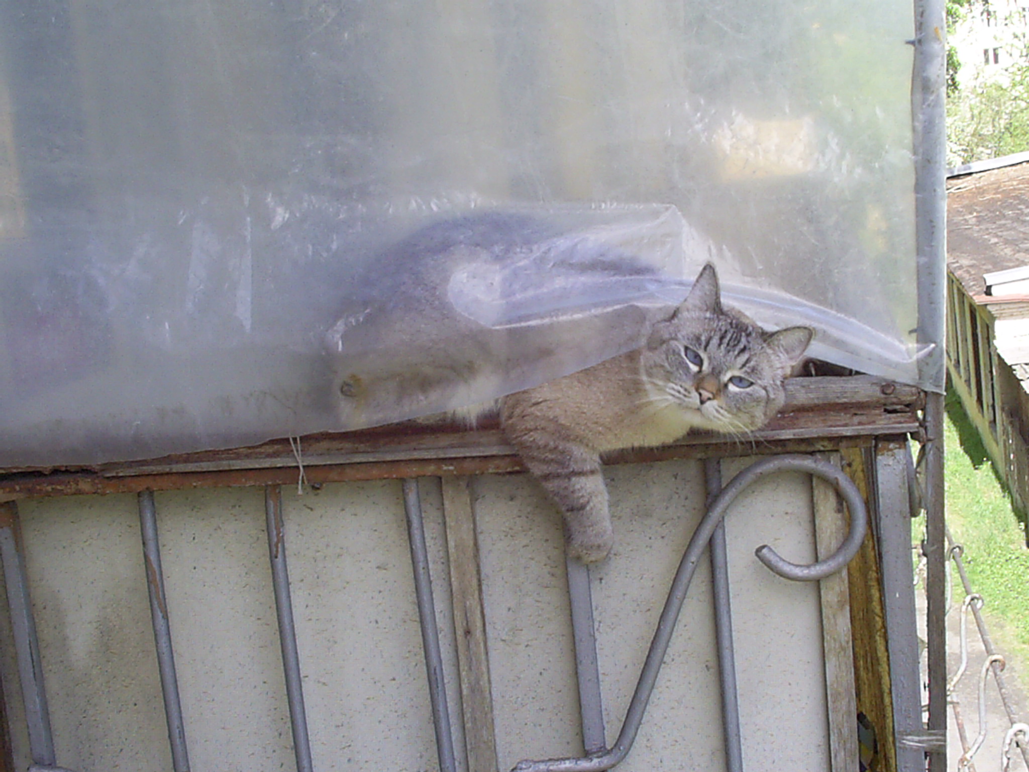 Сударыня, позвольте на ваш балкончик ?