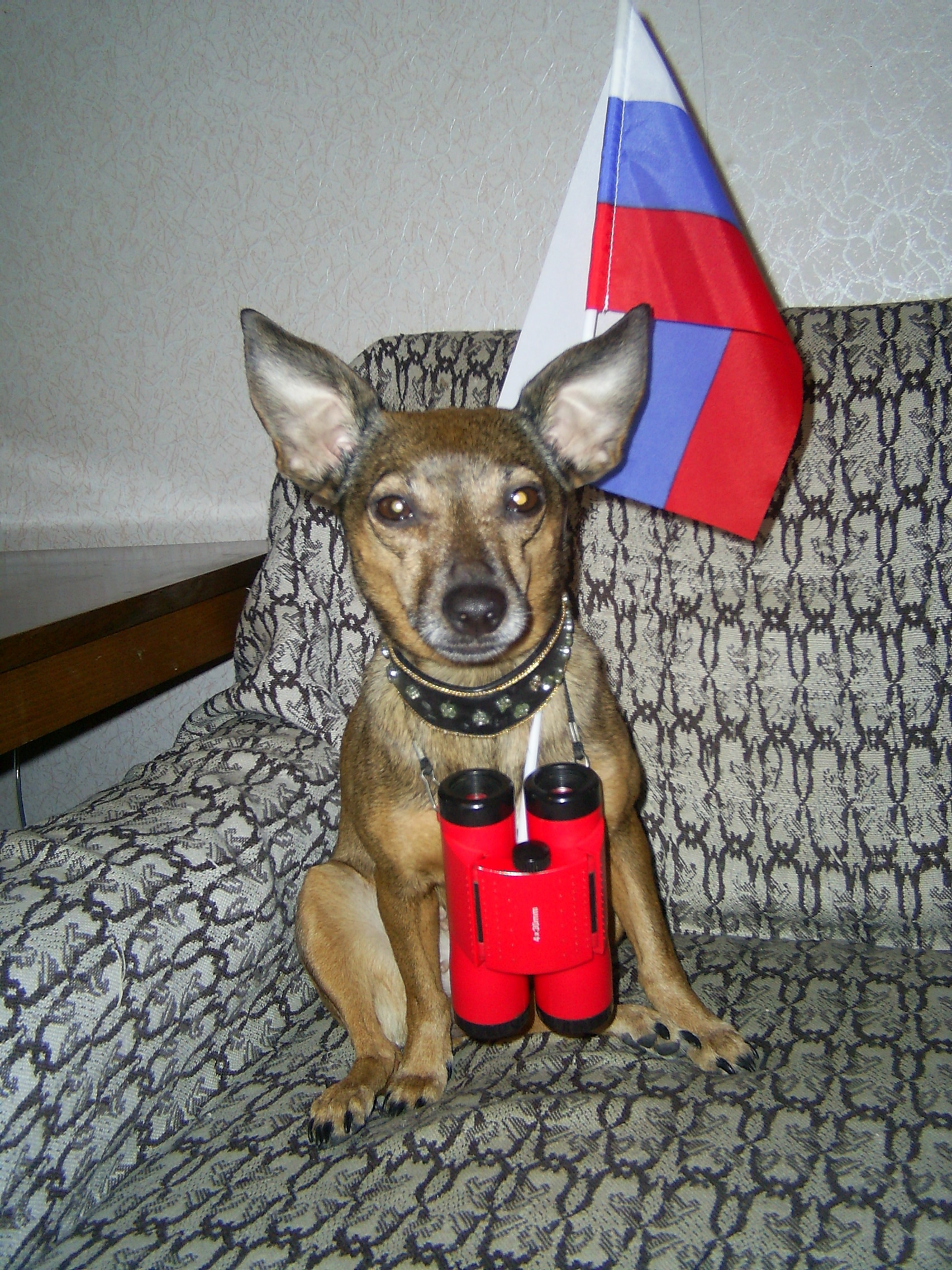 ЗА РОССИЮ!!!