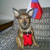ЗА РОССИЮ!!!