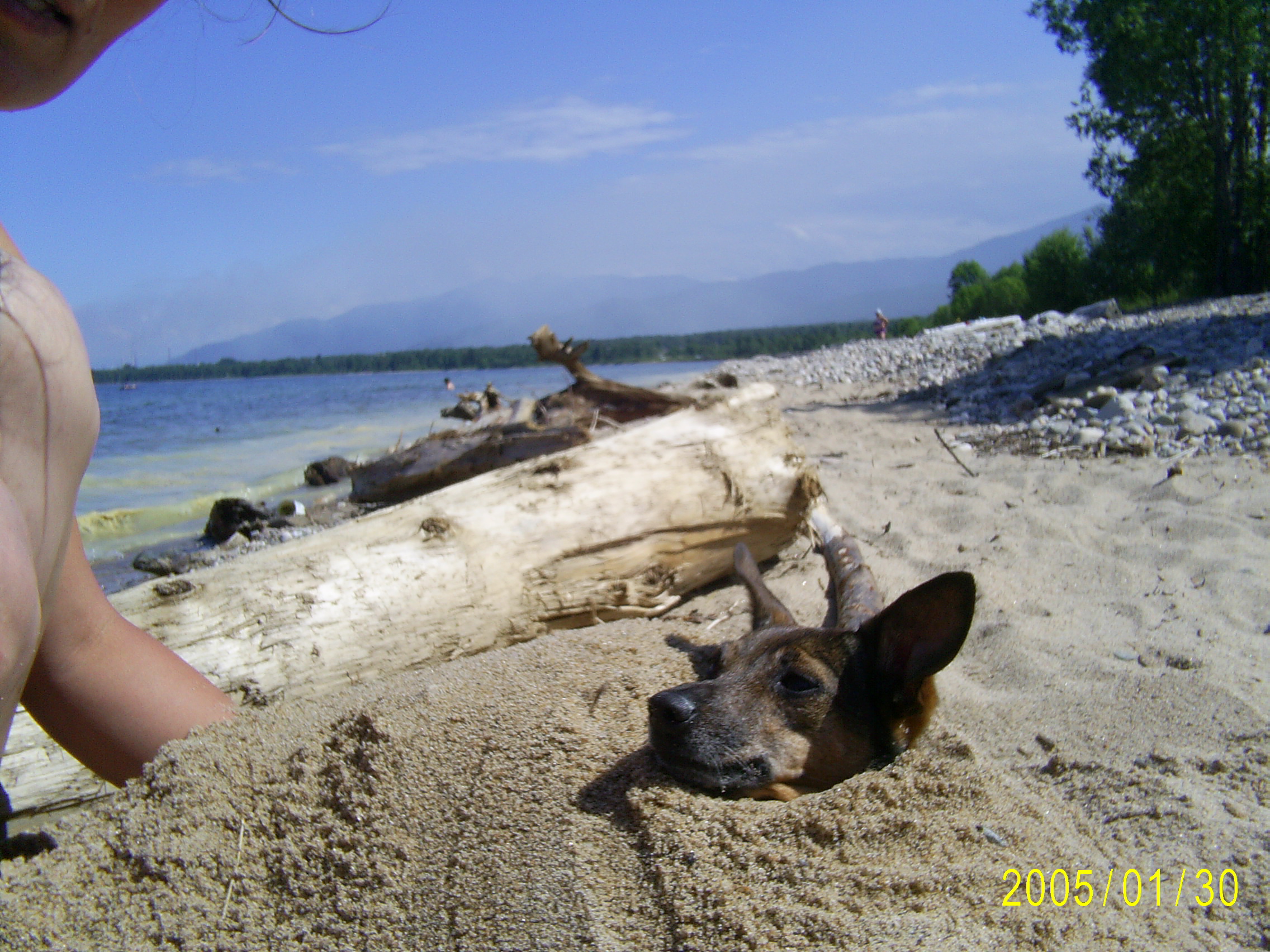 БЕЛОЕ СОЛНЦЕ ПУСТЫНИ