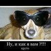 стиль стиль