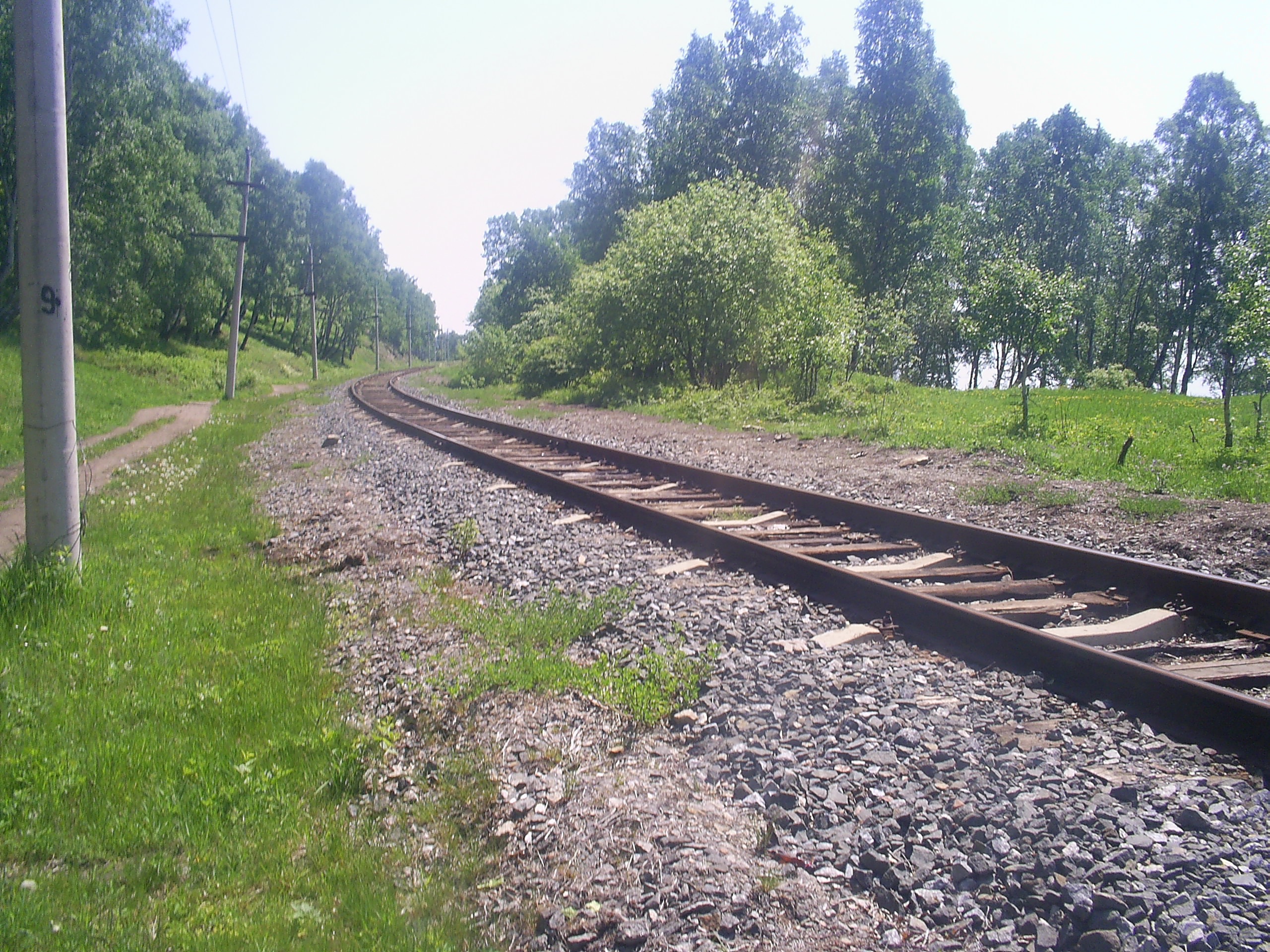 S5022067