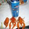 по дорги на чорное море.