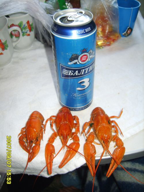 по дорги на чорное море.