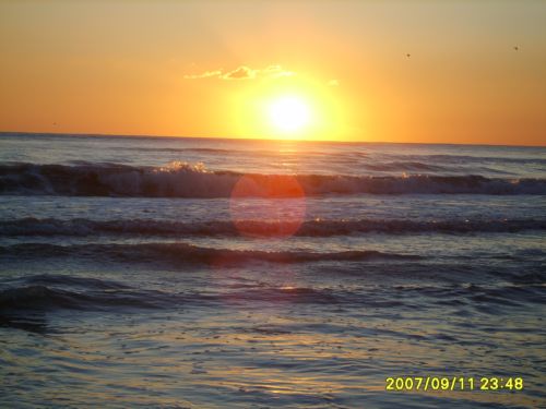 отдых на чорном море.