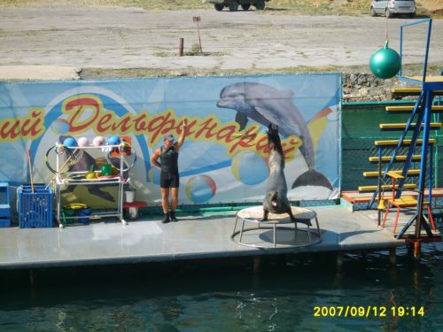 дельфинарий в Анапе