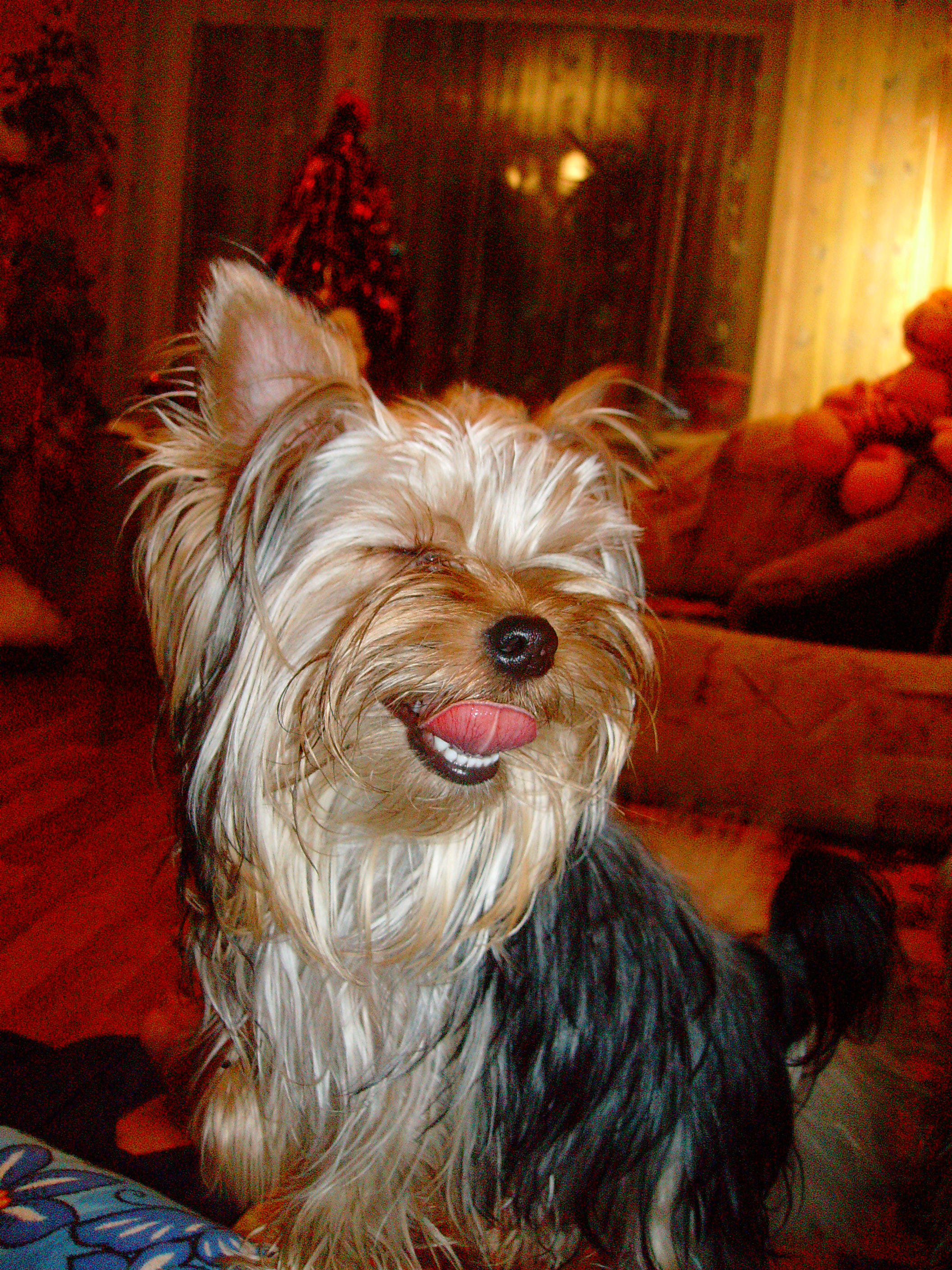 ну и расмешили!!!!!